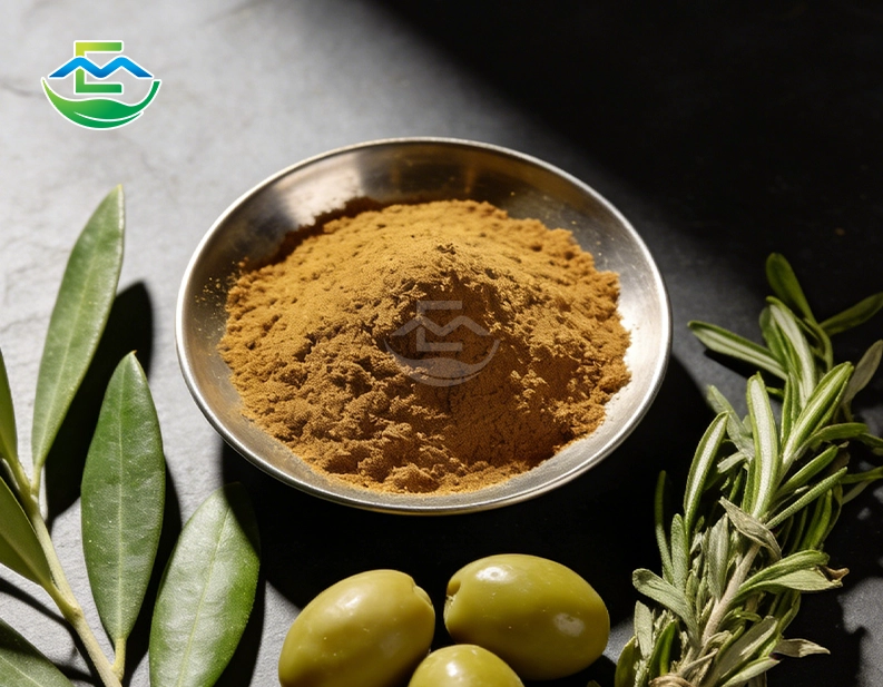 Olea Europaea Olive Leaf Extract Powder Bulk
